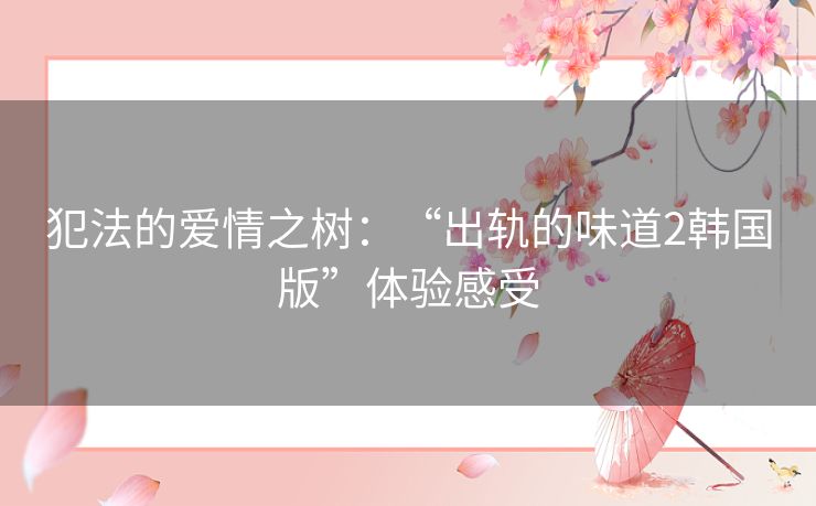 犯法的爱情之树：“出轨的味道2韩国版”体验感受