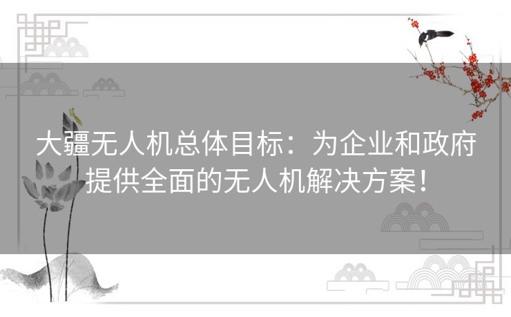 大疆无人机总体目标:为企业和政府提供全面的无人机解决方案! 大疆无人机总体目标:为企业和政府提供全面的无人机解决方案!