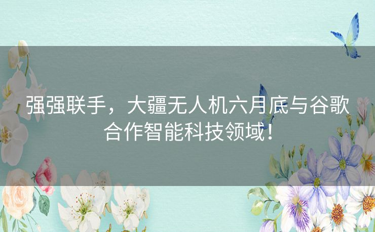 强强联手,大疆无人机六月底与谷歌合作智能科技领域! 强强联手,大疆无人机六月底与谷歌合作智能科技领域!