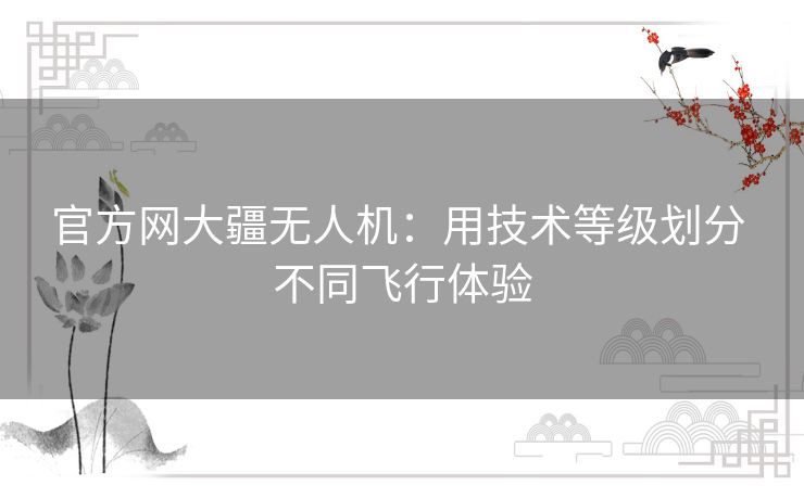 官方网大疆无人机:用技术等级划分 不同飞行体验 官方网大疆无人机:用技术等级划分 不同飞行体验