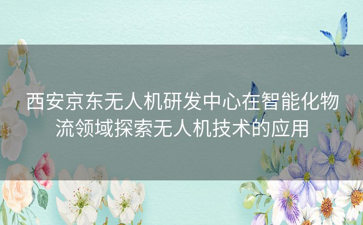 西安京东无人机研发中心在智能化物流领域探索无人机技术的应用 西安京东无人机研发中心在智能化物流领域探索无人机技术的应用