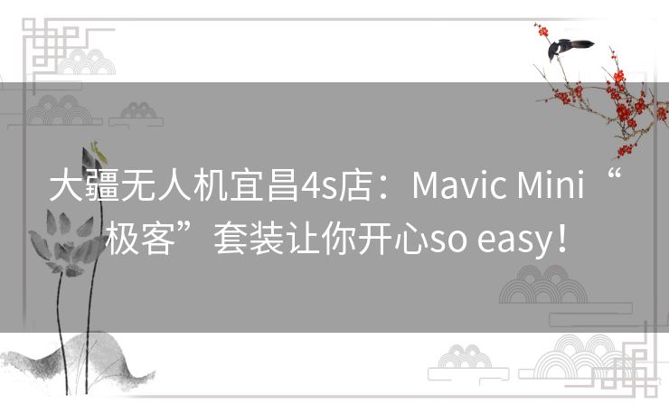 大疆无人机宜昌4s店:Mavic Mini“极客”套装让你开心so easy! 大疆无人机宜昌4s店:Mavic Mini“极客”套装让你开心so easy!