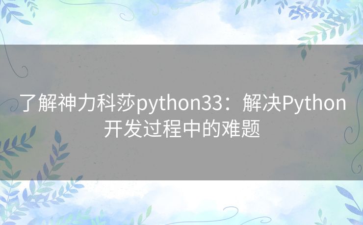 了解神力科莎python33：解决Python开发过程中的难题