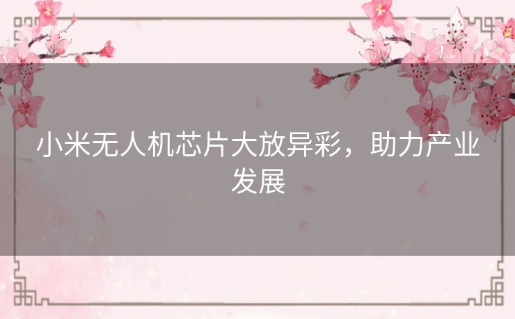 小米无人机芯片大放异彩,助力产业发展 小米无人机芯片大放异彩,助力产业发展