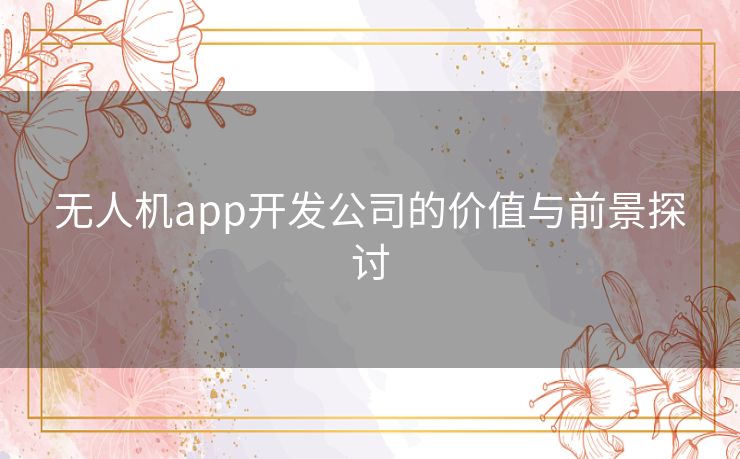 无人机app开发公司的价值与前景探讨