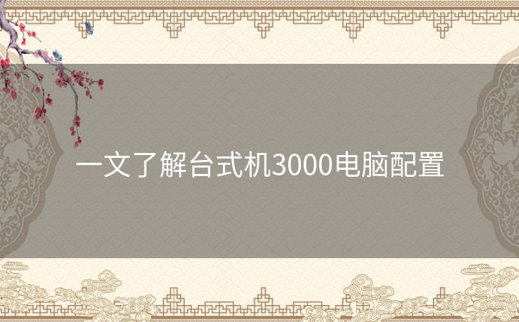 一文了解台式机3000电脑配置